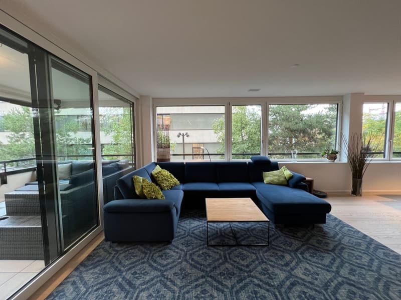 Möblierte, moderne 2.5 Zimmer Wohnung (4)