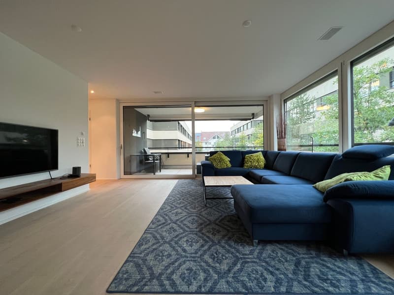 Möblierte, moderne 2.5 Zimmer Wohnung (5)