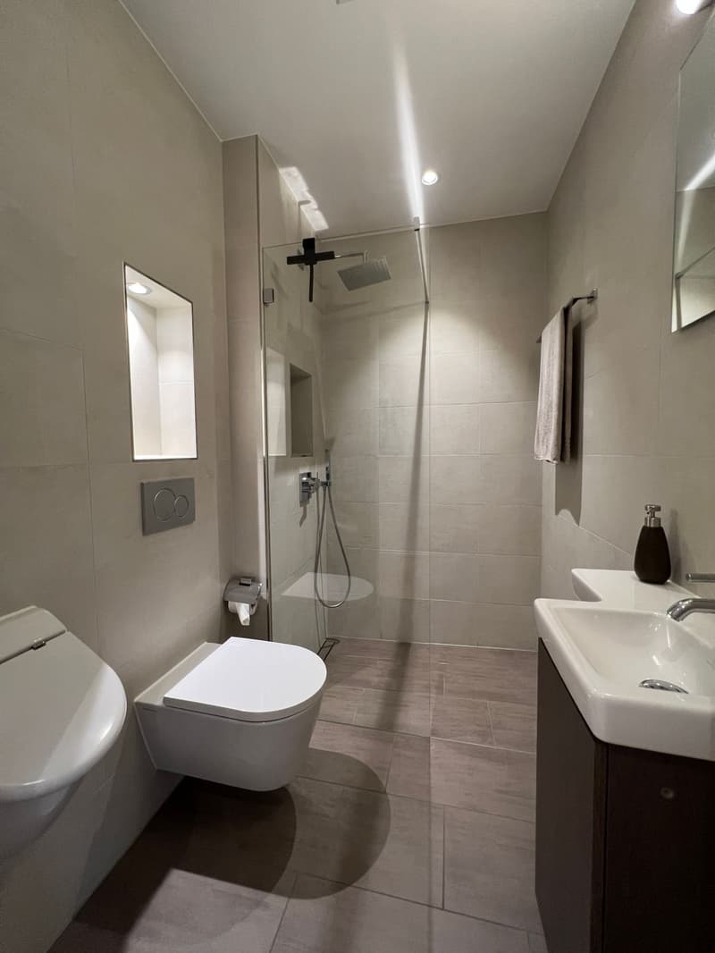 Möblierte, moderne 2.5 Zimmer Wohnung (9)