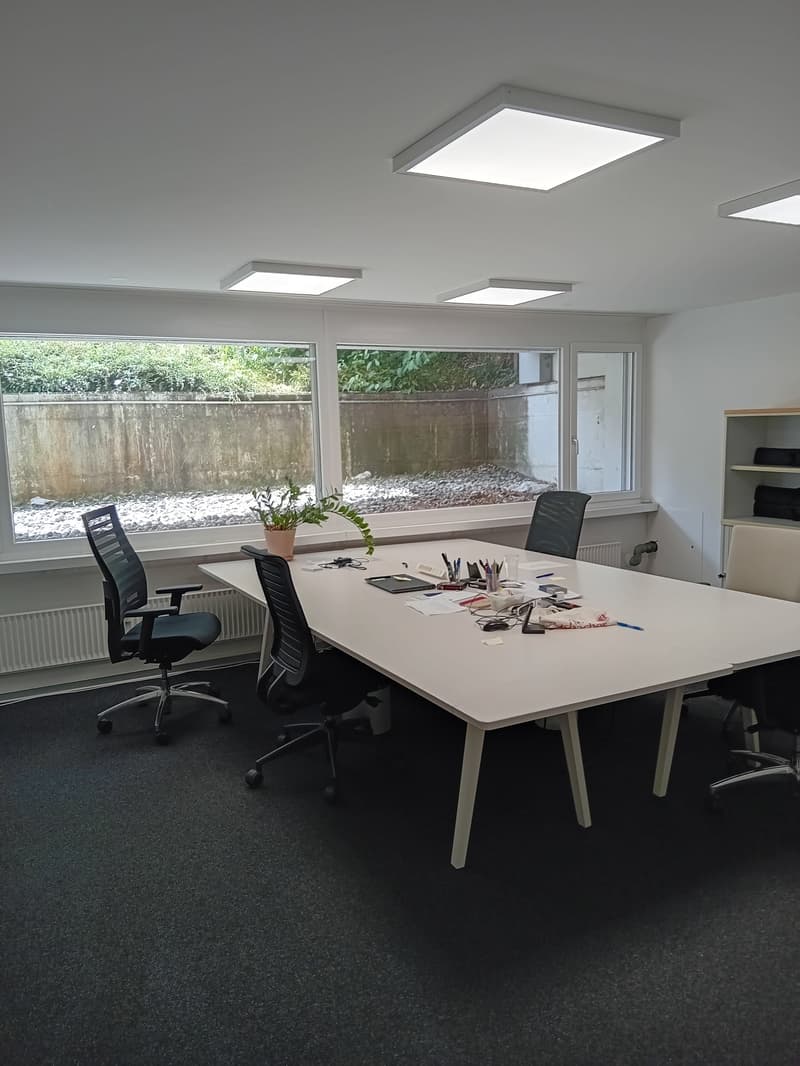 An empty office room with a long white table, four black office chairs, a potted plant, and large windows.