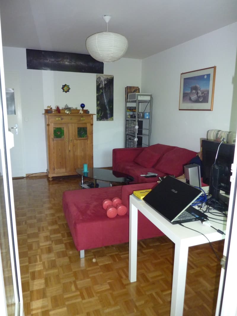 Living room with wooden floor, red couch, coffee table, wooden cabinet, shelf, picture frame, monitor, laptop, and other items