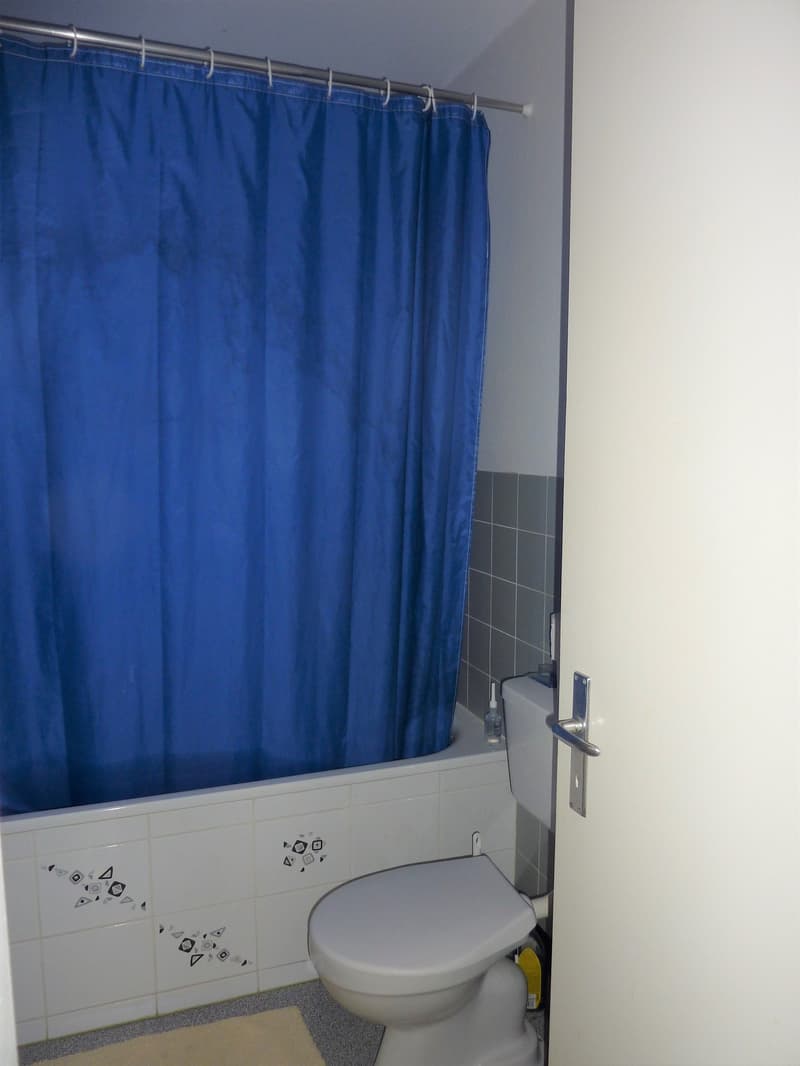 Bathroom with bathtub, toilet, and tiled walls