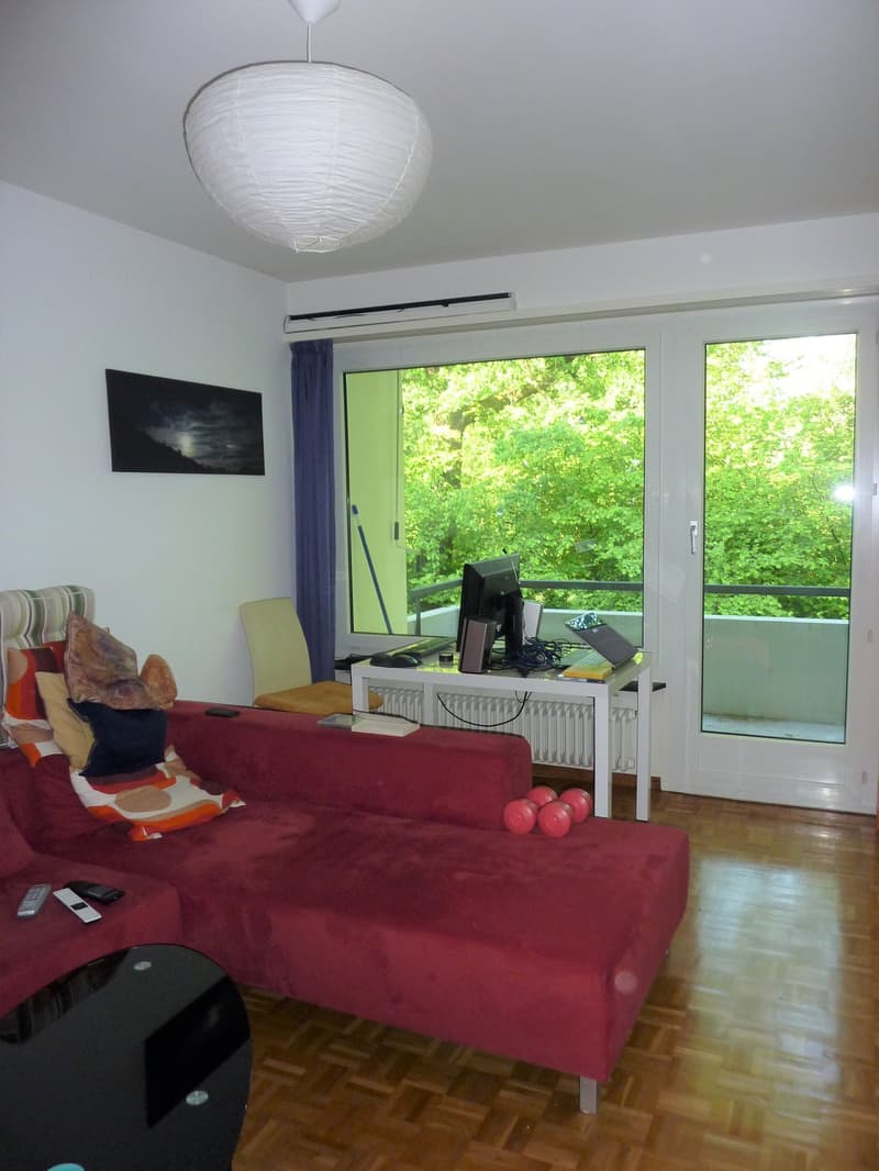Living room with red couch, desk, computer, radiator, remote controls, dumbbells, picture, lamp, chair, and balcony