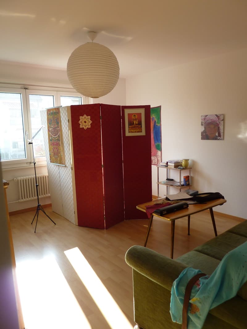 Living room with wooden floor, red screen, green couch, table, lamp, radiator, window, picture frame, books, and decorative items