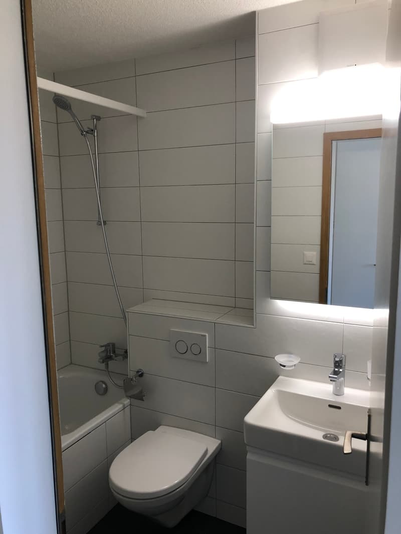 Bathroom with bathtub, toilet, sink, mirror, and shower