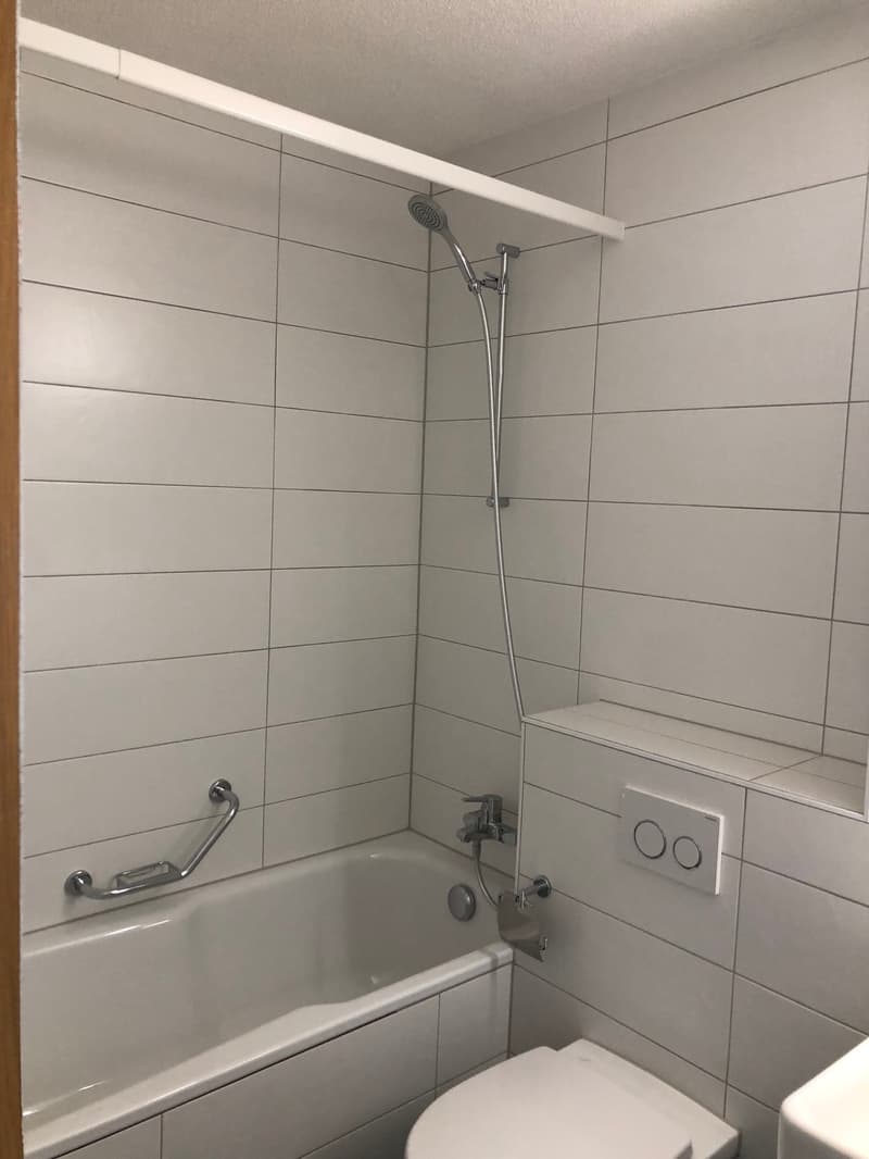 Bathroom with bathtub, shower, toilet, and white tiles