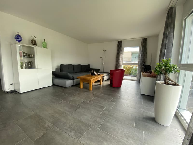 Bright 4.5-room apartment with balcony and beautiful view in Wangen an der Aare (12)