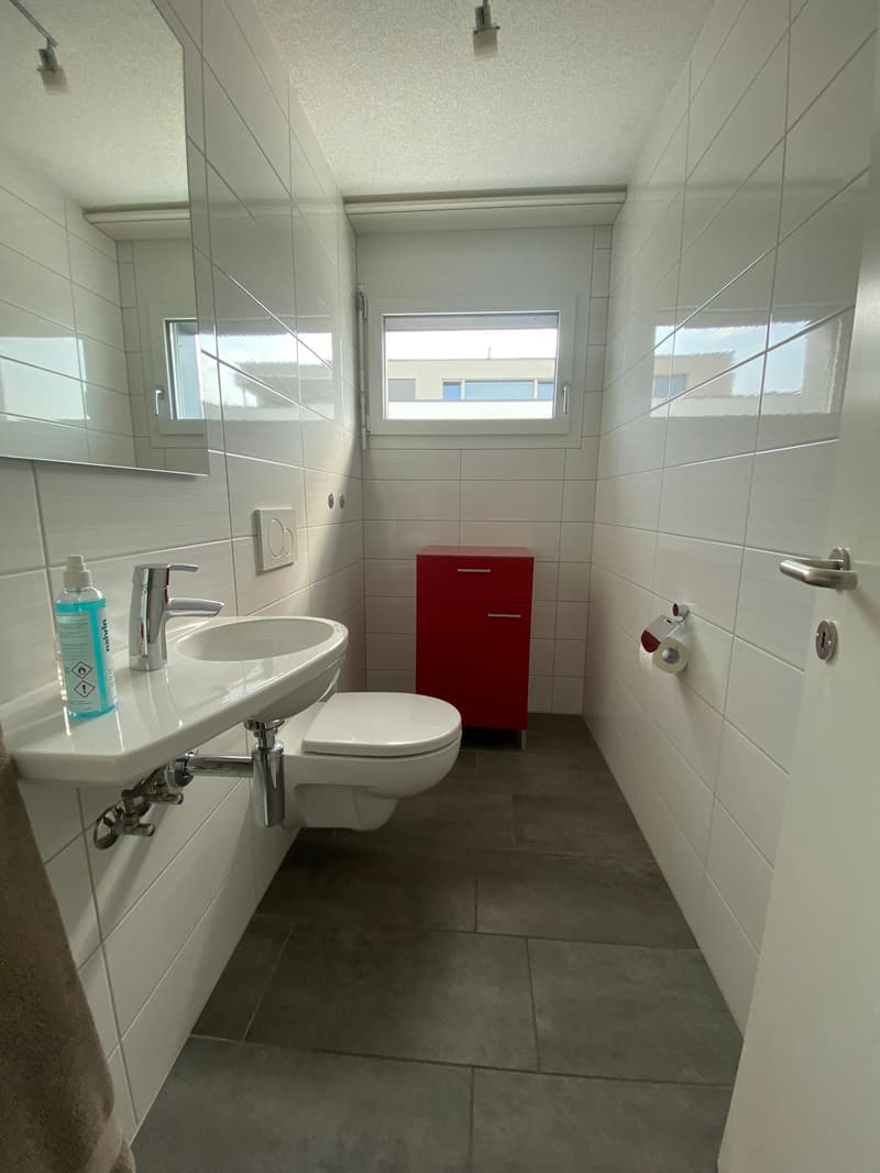 Bright 4.5-room apartment with balcony and beautiful view in Wangen an der Aare (11)
