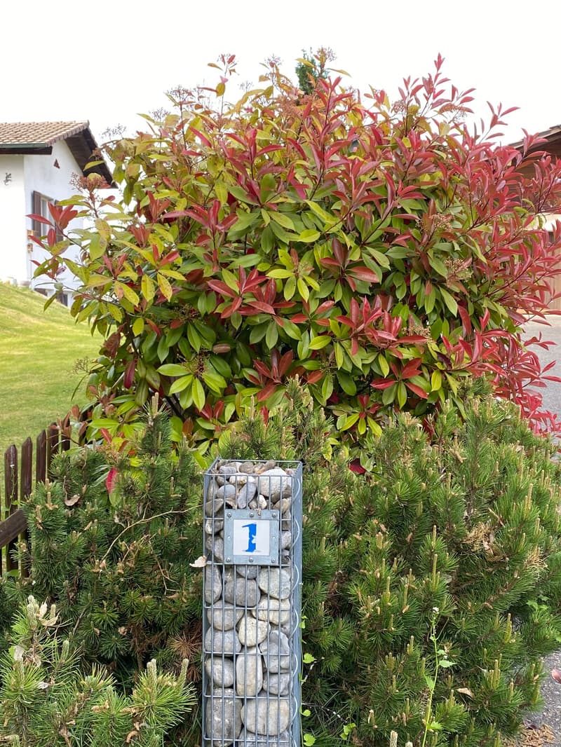 Spacious single-family house in a quiet location in Langenloh-Rüfenacht (6)