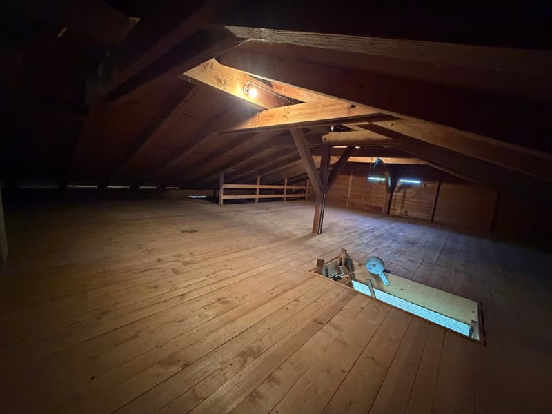Spacious single-family house in a quiet location in Langenloh-Rüfenacht (19)