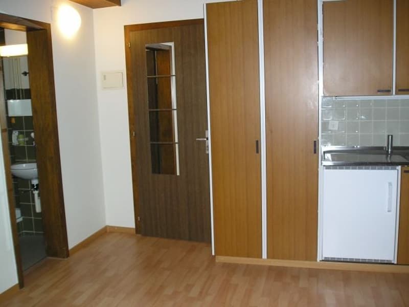 Charmante 1-Zimmer-Dachwohnung in Bern-Breitenrain (5)