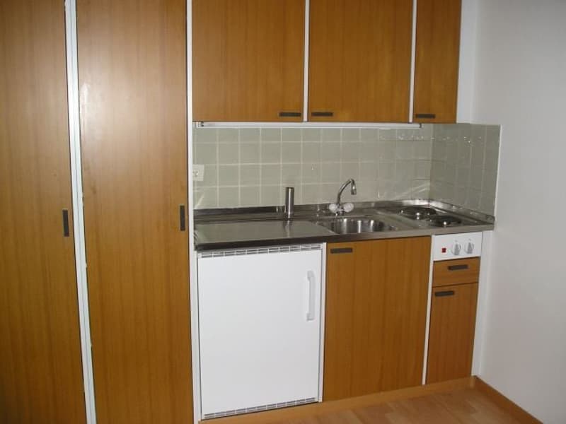 Charmante 1-Zimmer-Dachwohnung in Bern-Breitenrain (2)