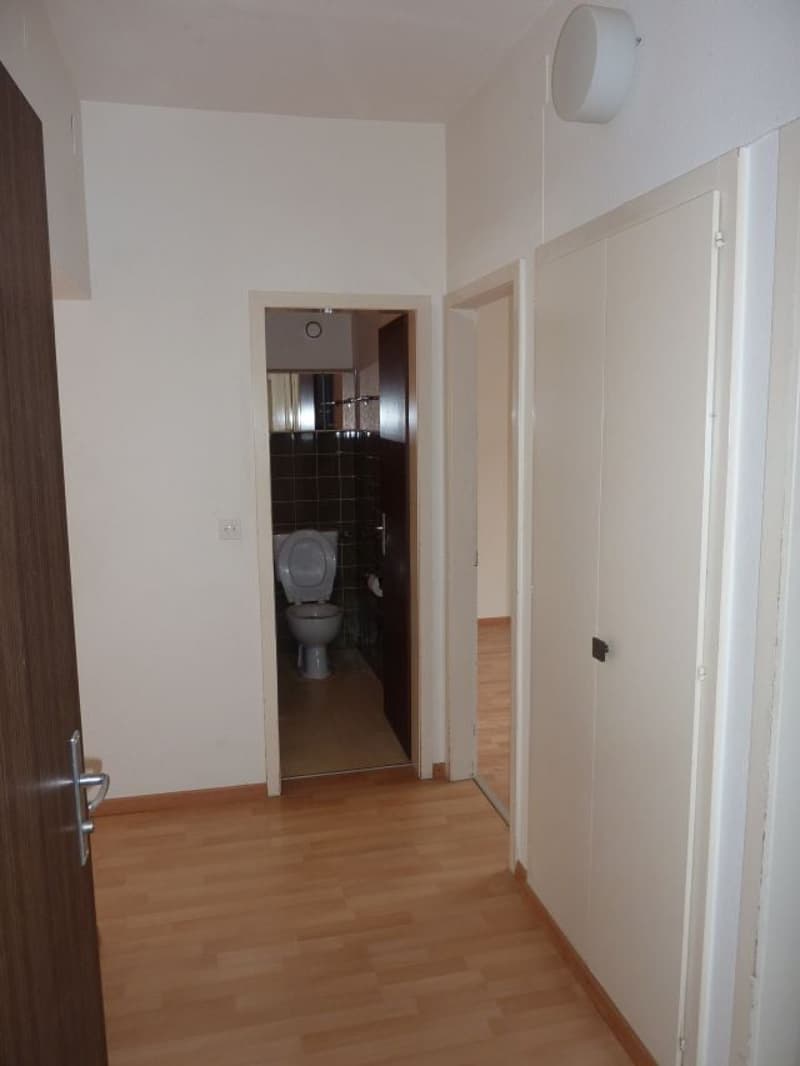 Cozy 2-room old building apartment on the 3rd floor on Rodtmattstrasse, Bern (4)
