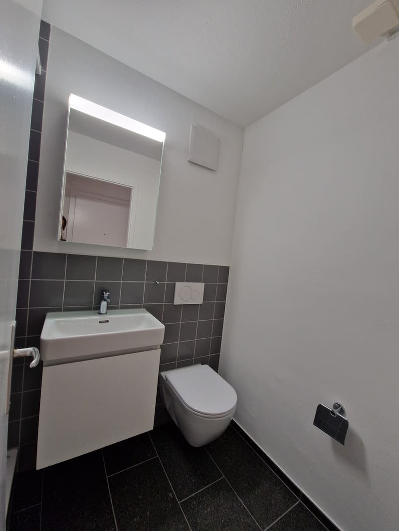 Modern studio with balcony on Holligenstrasse 74 in Bern (3)