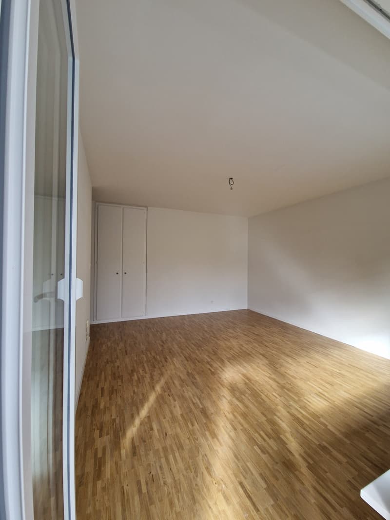 Modern studio with balcony on Holligenstrasse 74 in Bern (9)
