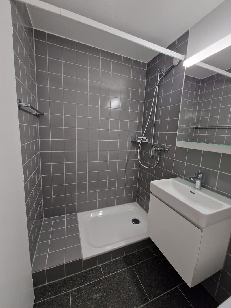 Modern studio with balcony on Holligenstrasse 74 in Bern (4)