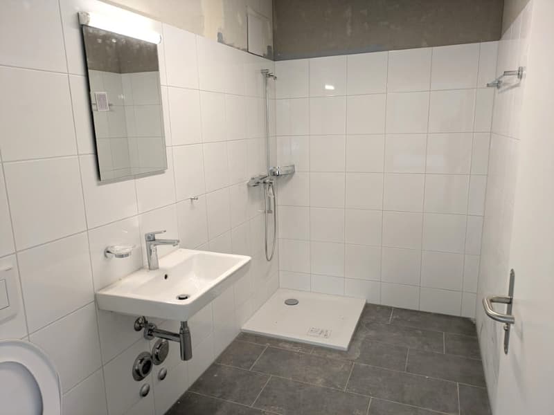 modern bathroom with white tile walls, white sink, mirror, shower cubicle, and a white toilet
