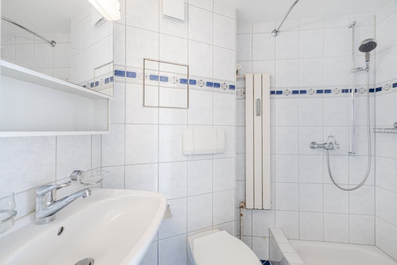 Appartement lumineux de 2,5 pièces dans un emplacement central à St. Gallen (9)