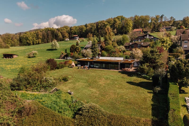 Villa mit spektakulärer See- und Alpensicht in Uetikon am See (befristetes Mietangebot) (3)