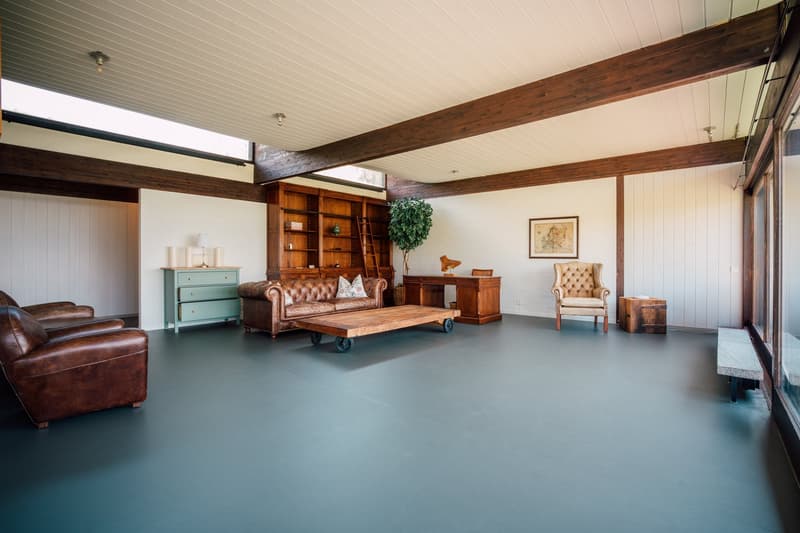 Villa mit spektakulärer See- und Alpensicht in Uetikon am See (befristetes Mietangebot) (8)