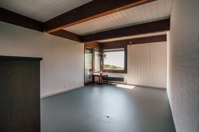 Villa mit spektakulärer See- und Alpensicht in Uetikon am See (befristetes Mietangebot) (15)
