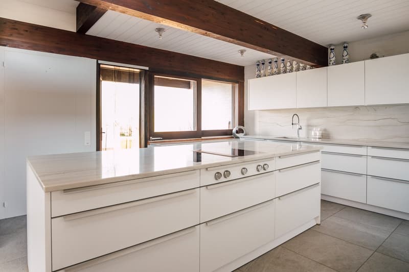 Villa mit spektakulärer See- und Alpensicht in Uetikon am See (befristetes Mietangebot) (16)