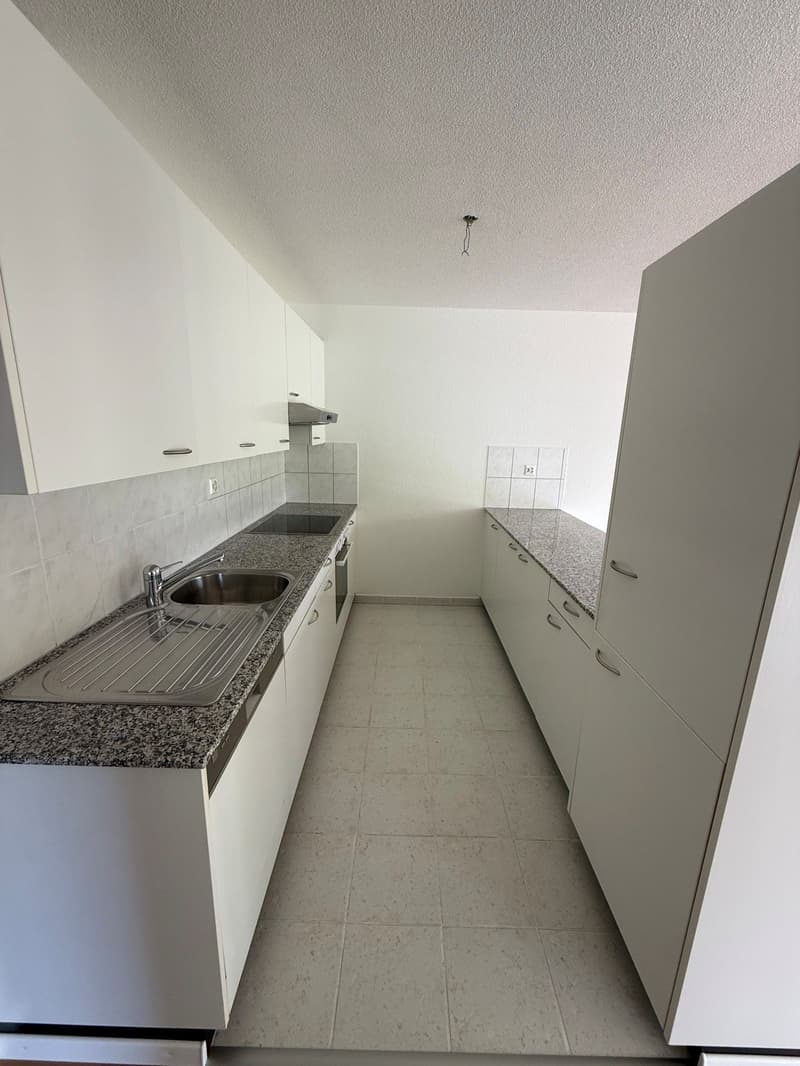 Helle 4.5-Zimmer-Wohnung mit grossem Balkon in Winterthur-Wülflingen (8)