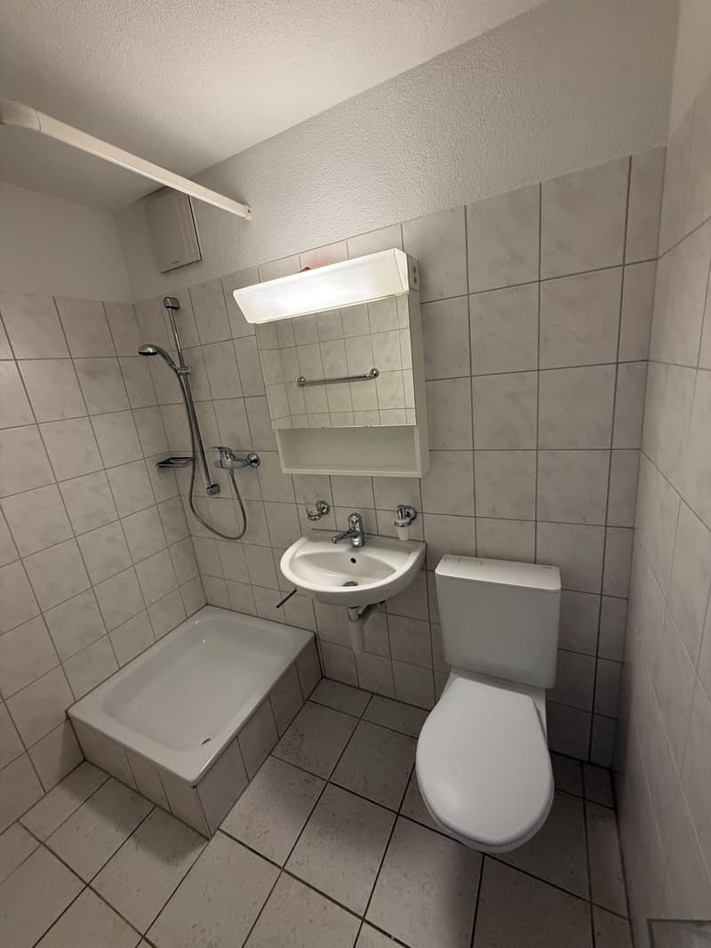 Helle 4.5-Zimmer-Wohnung mit grossem Balkon in Winterthur-Wülflingen (3)