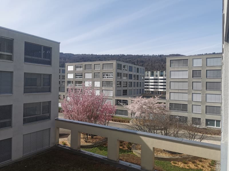 Studio moderne avec loggia à Biel – disponible à partir d'octobre 2026 (1)