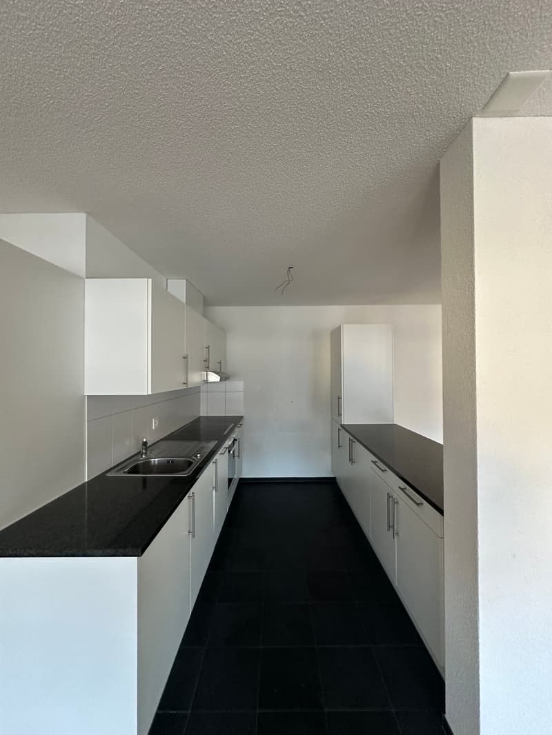 Appartamento moderno di 2 camere a Olten (3)