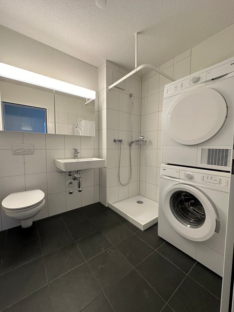 Appartamento moderno di 2 camere a Olten (5)