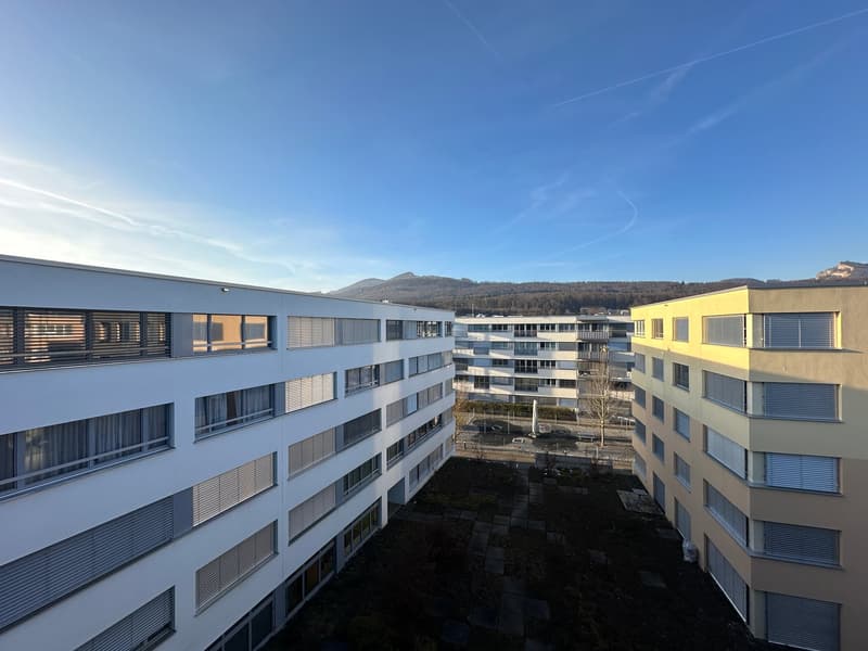 Appartamento moderno di 2 camere a Olten (1)