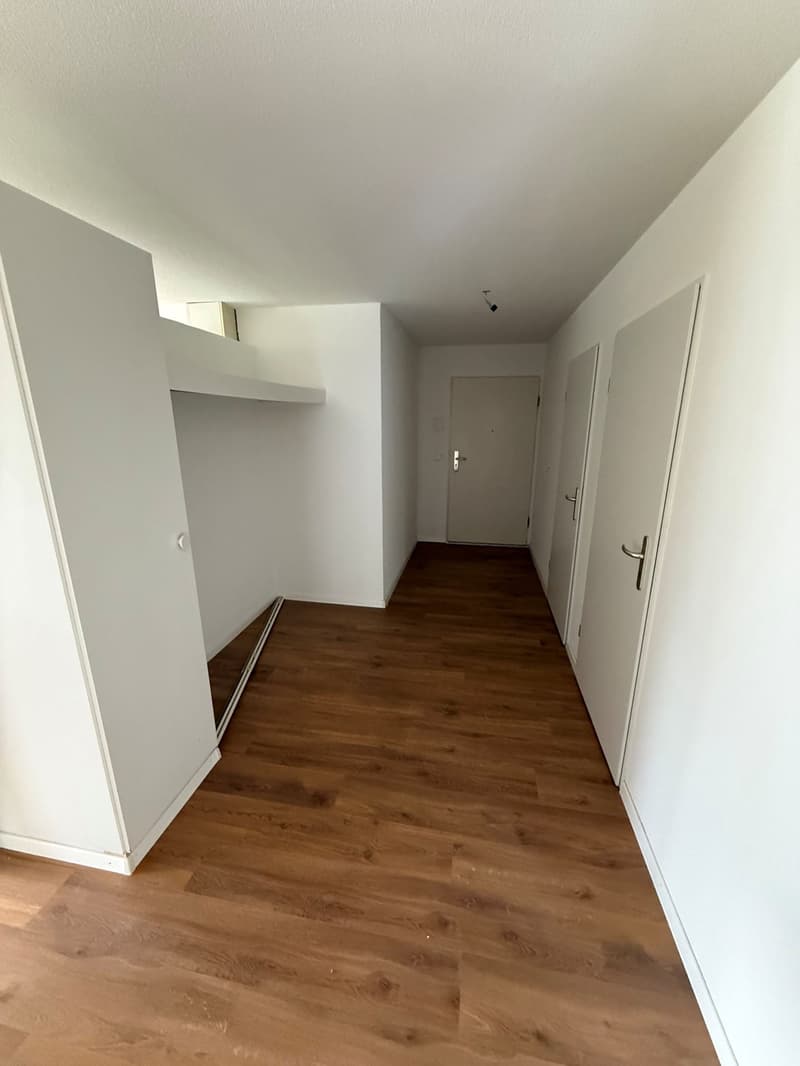 Appartement lumineux 5 pièces avec grand balcon à Winterthur-Wülflingen (2)