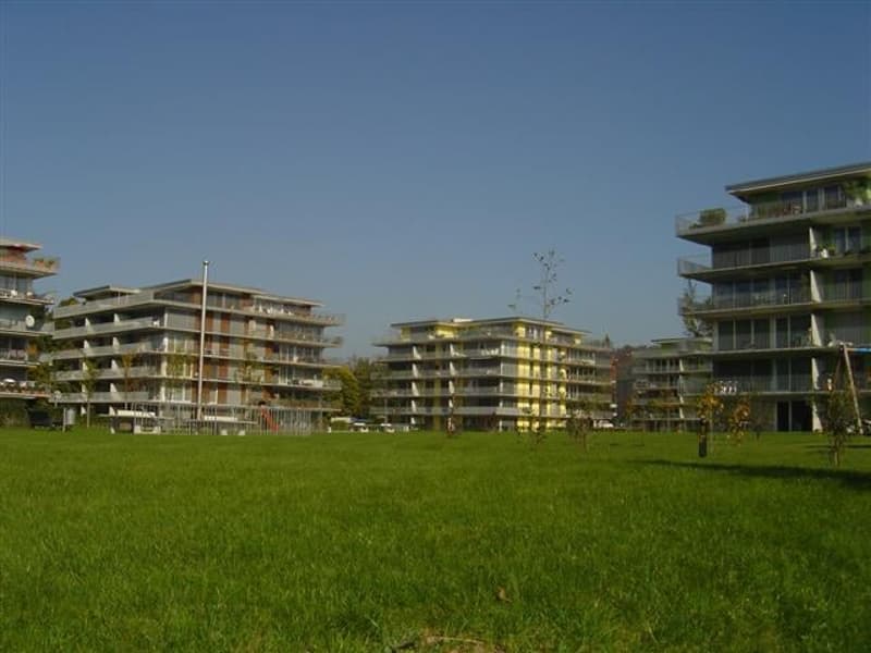 Appartement lumineux 5 pièces avec grand balcon à Winterthur-Wülflingen (1)