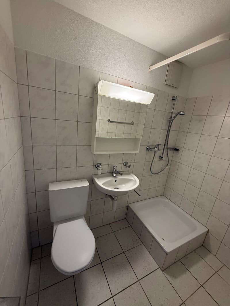 Appartement lumineux 5 pièces avec grand balcon à Winterthur-Wülflingen (3)