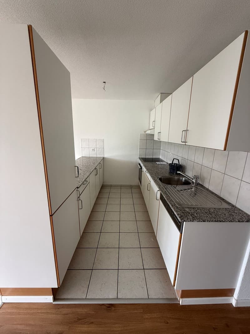 Appartement lumineux 5 pièces avec grand balcon à Winterthur-Wülflingen (8)