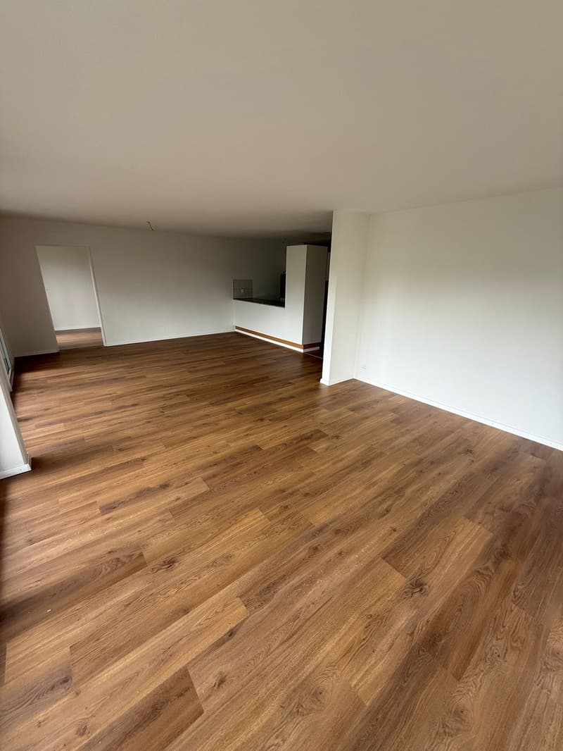 Appartement lumineux 5 pièces avec grand balcon à Winterthur-Wülflingen (9)