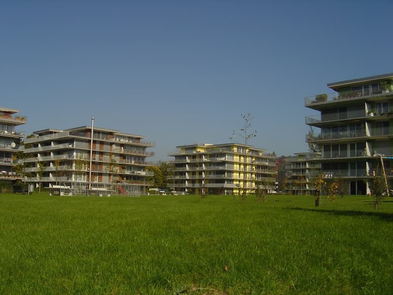 Ampio appartamento di 3,5 locali (1)