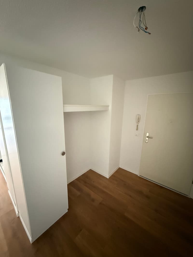 Ampio appartamento di 3,5 locali (2)