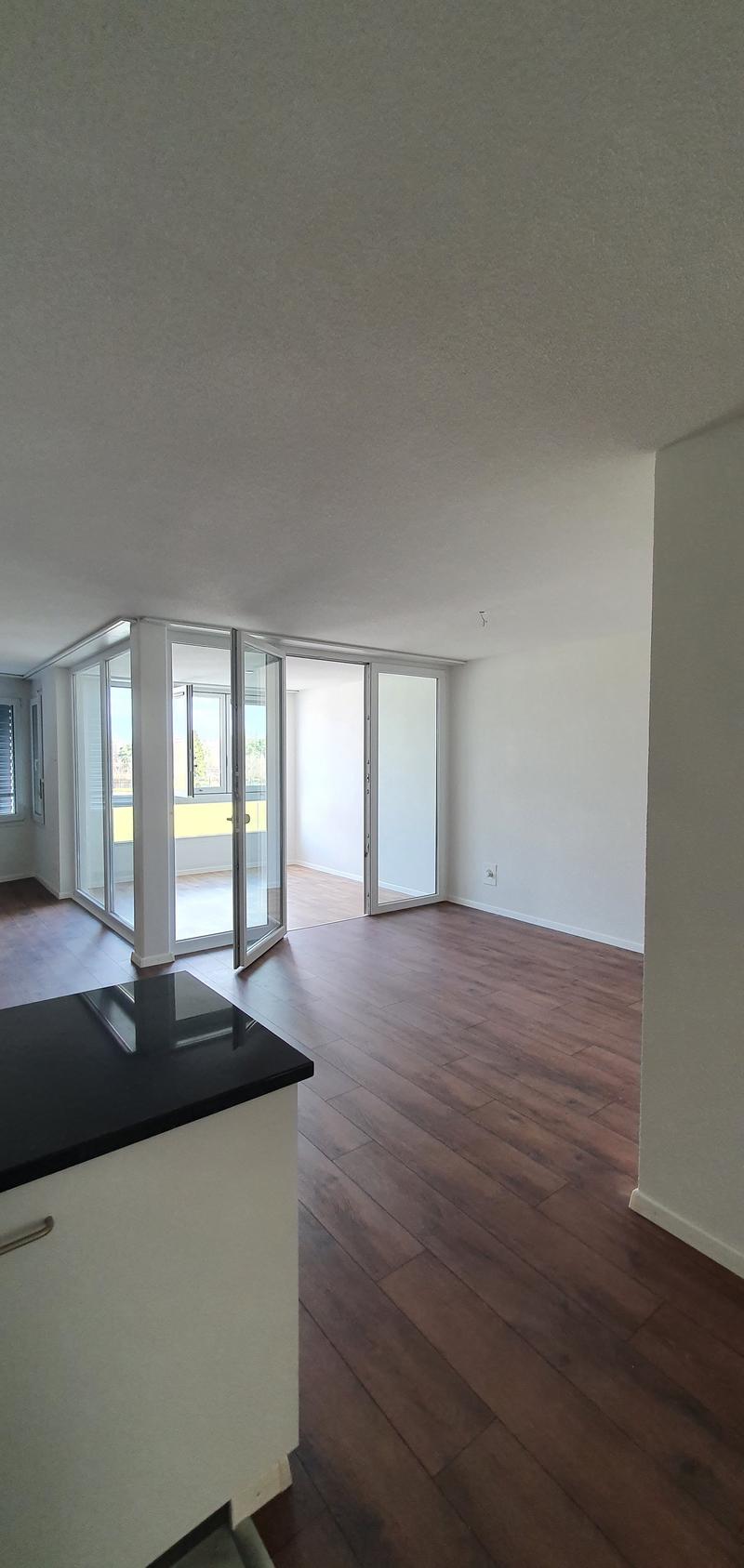 Helle 4.5-Zimmer-Wohnung mit Wintergarten in Opfikon (2)
