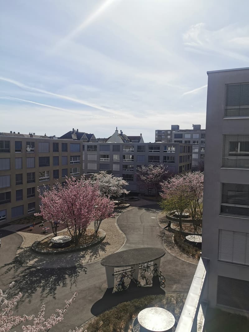 Appartamento Loft Moderno al Piano Terra a Biel – Disponibile Immediatamente (1)