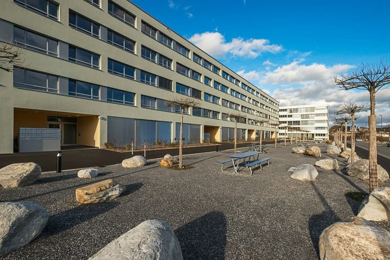 Appartement lumineux 3.5 pièces à Olten – disponible immédiatement (1)