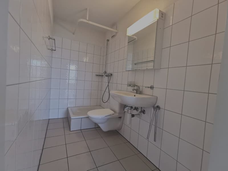 Appartamento luminoso 4.5 locali al 5° piano a Biel/Bienne – disponibile immediatamente (6)