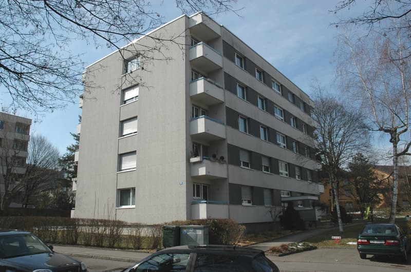 Parking space for rent in Zürich-Albisrieden (1)