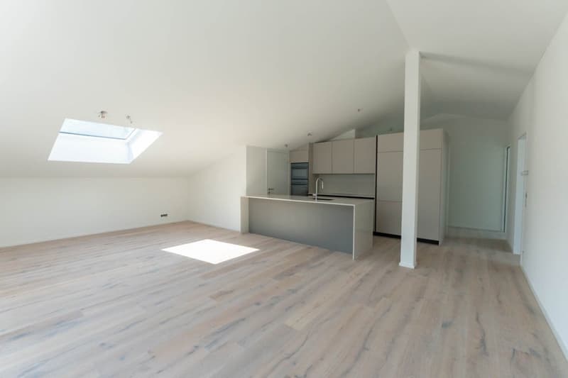Appartement lumineux, neuf et luxueux de 3½ pièces (G4) au dernier étage avec grand balcon (7)