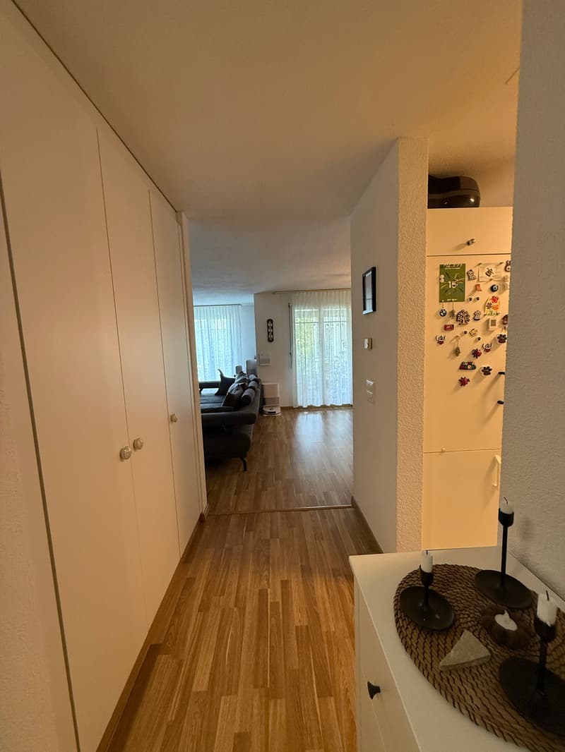 Bright 3.5-room apartment in Uster (13)