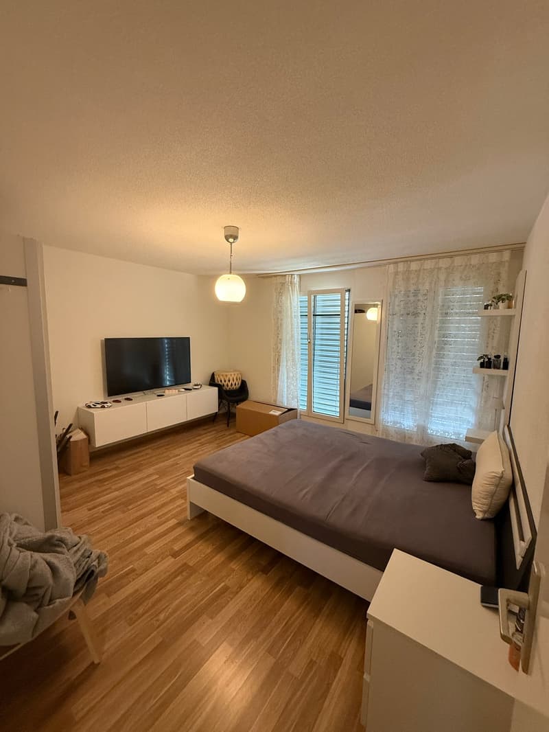 Bright 3.5-room apartment in Uster (5)