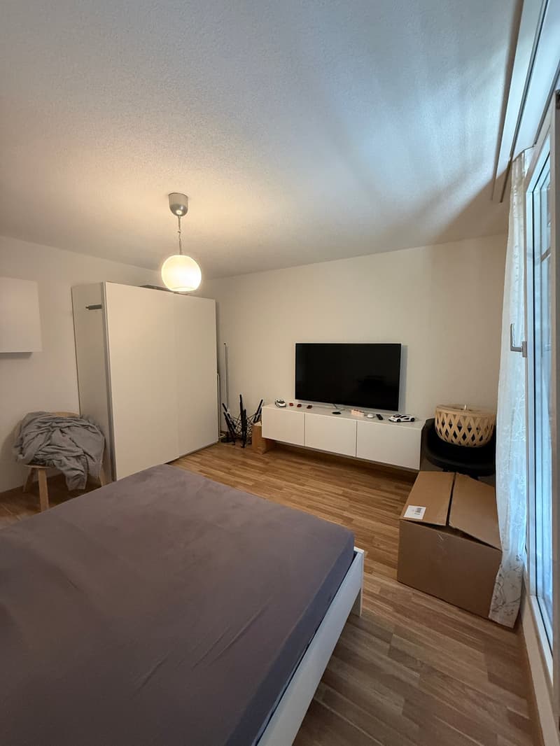 Bright 3.5-room apartment in Uster (6)