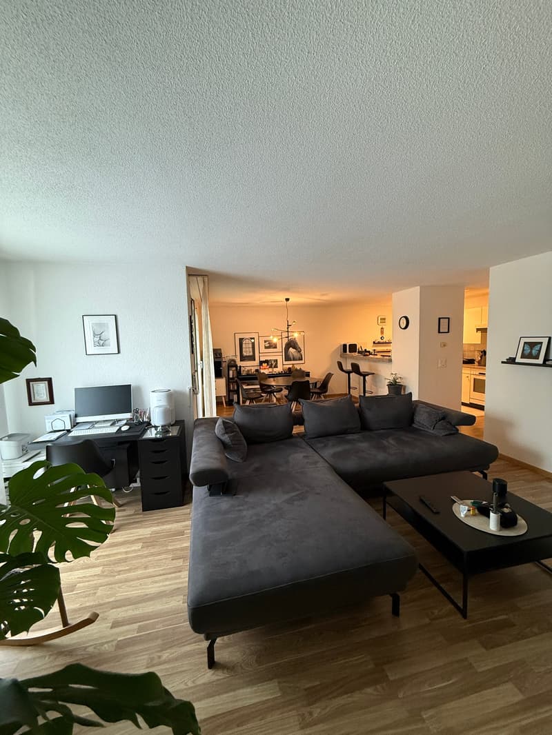 Bright 3.5-room apartment in Uster (3)