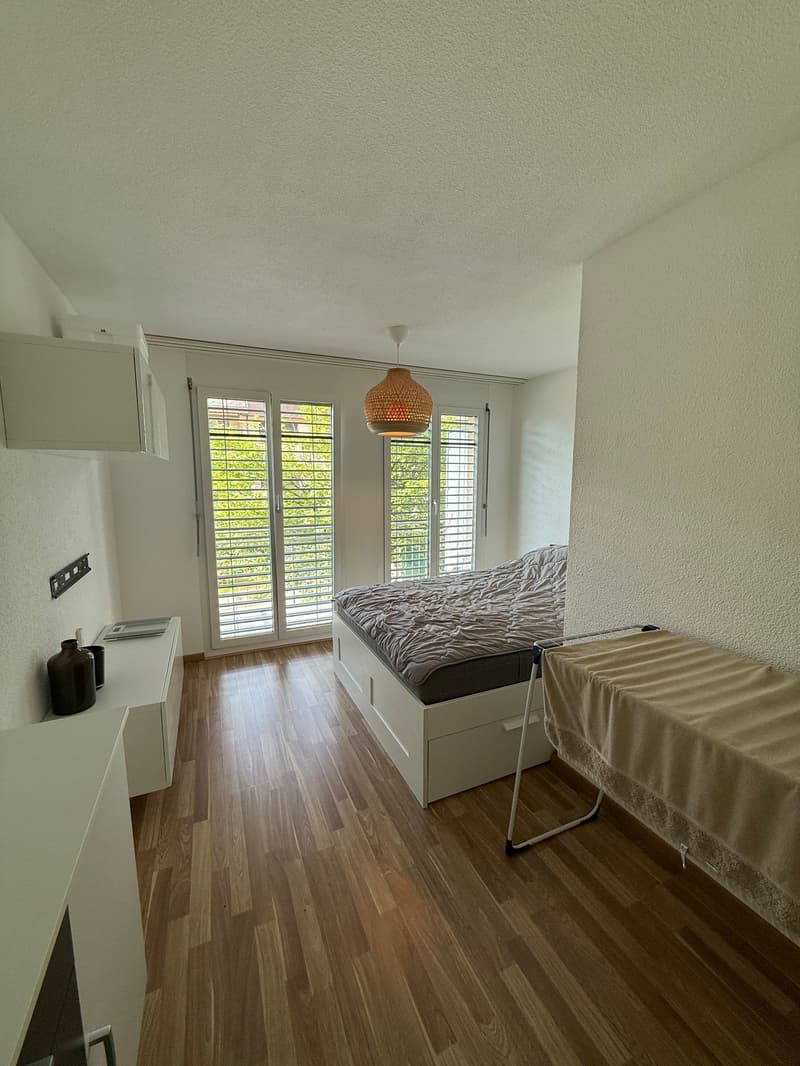 Bright 3.5-room apartment in Uster (4)